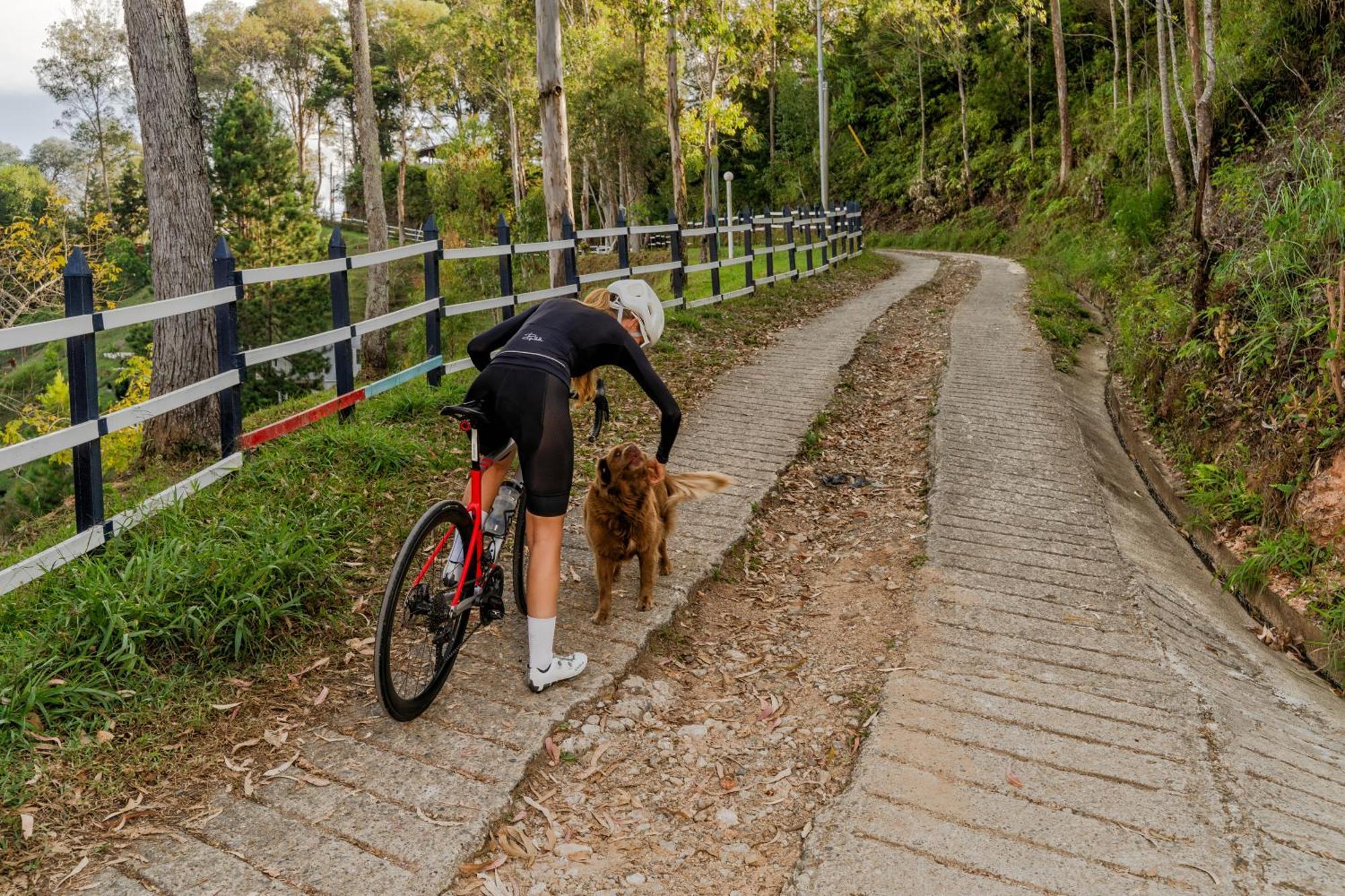 Atma Villas Guatapé Exteriér fotografie